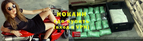 соль ск Алексин