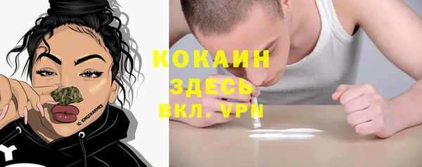 соль ск Алексин