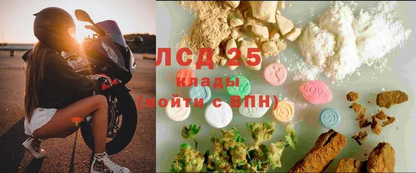 гидропоника Алзамай