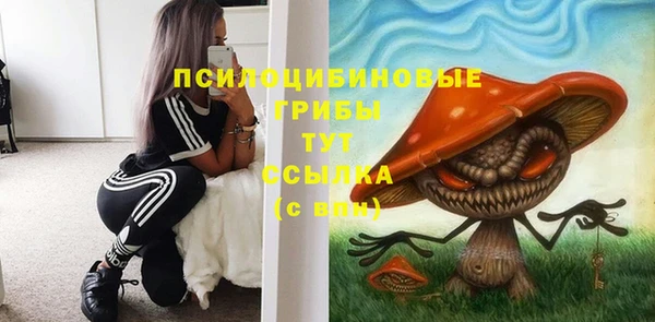 дживик Алексеевка